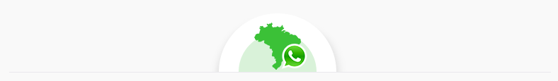 WhatsApp Business no Brasil e no Mundo