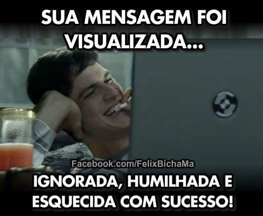 Meme "sua mensagem foi visualizada... ignorada, humilhada e esquecida com sucesso!"