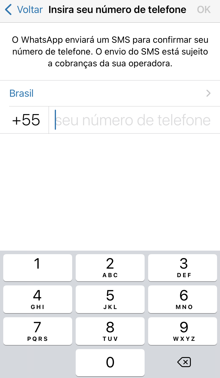 Colocar número fixo no whatsapp business