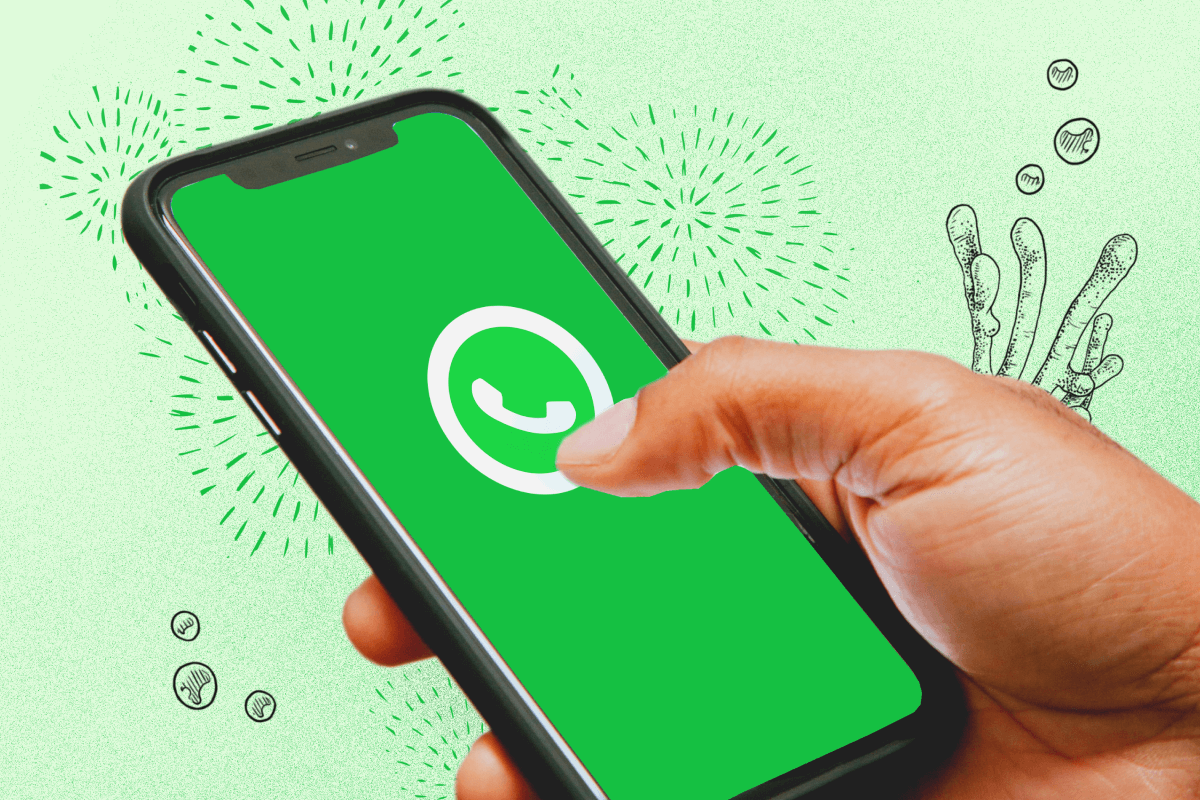 Pessoa segurando o celular com a tela do WhatsApp Business aberta