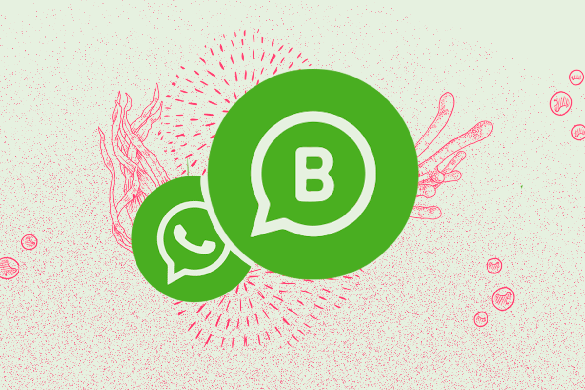 Logo do WhatsApp Oficial junto com o logo do WhatsApp convencional sobre um fundo com elementos marinhos