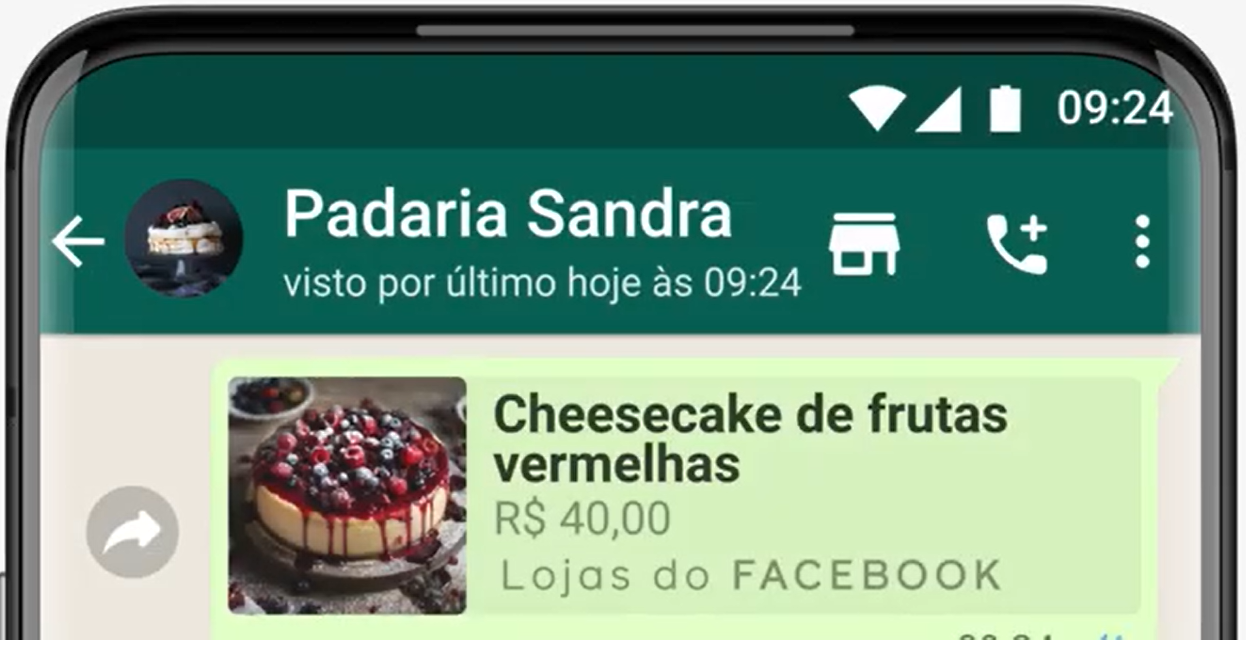 Exemplo de catálogo no WhatsApp