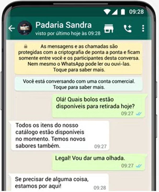 Print conversa do WhatsApp